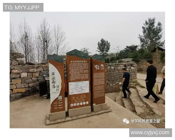 黄岔姚明：从篮球巨星到乡村振兴的先锋之路