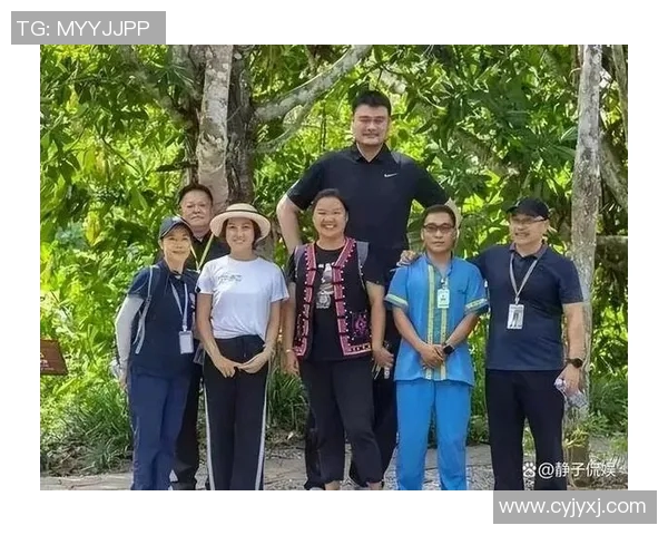 风雨兼程铸就姚明传奇岁月的坚韧与辉煌